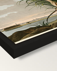 Long-billed Curlew by Audubon framed canvas, corner close-up: a black floating frame with a shadow gap round the canvas