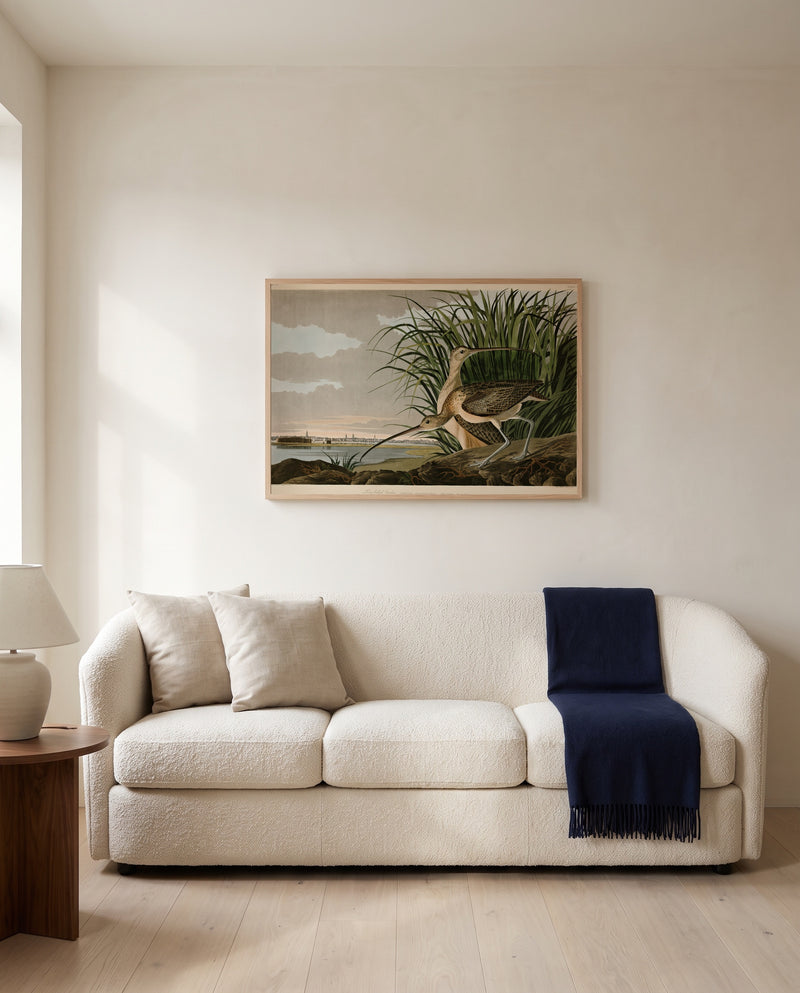 Long-billed Curlew by John James Audubon framed in natural oak above a cream sofa in a warm living room