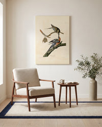 Passenger Pigeon by John James Audubon as a stretched canvas above a linen lounge chair in a reading corner