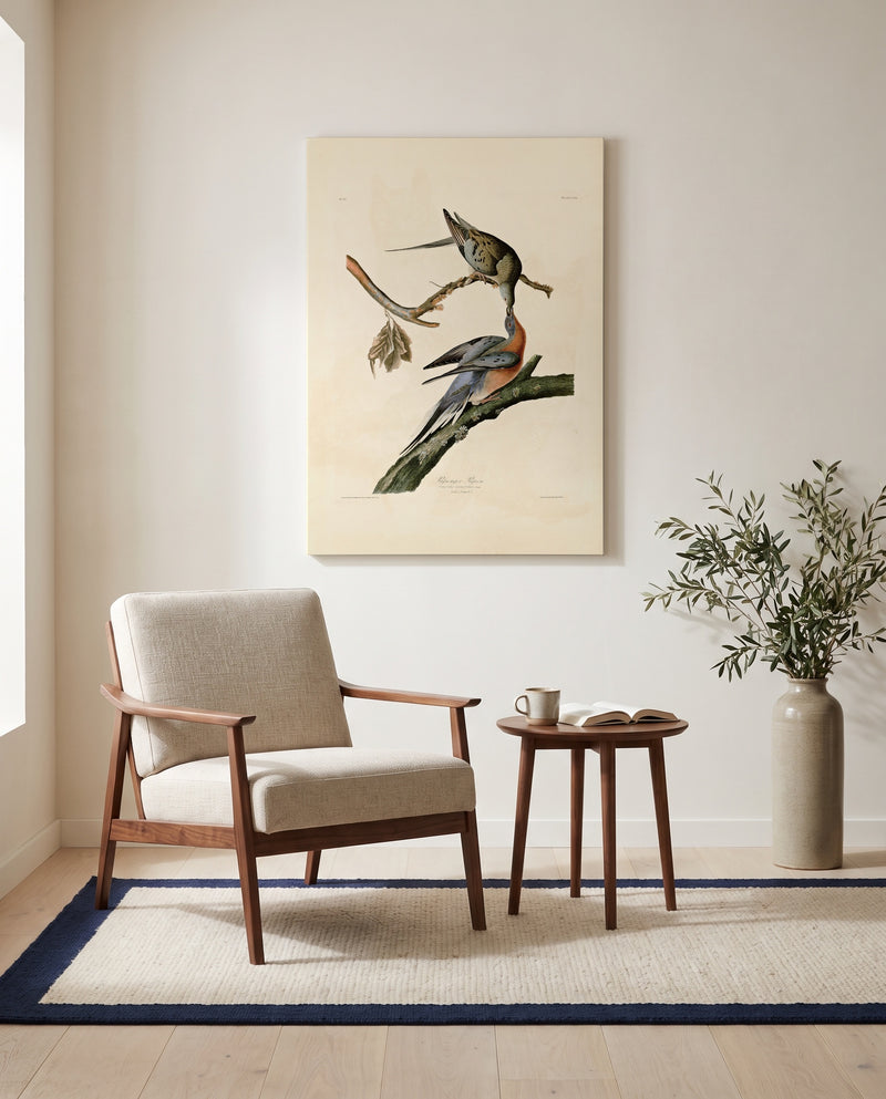 Passenger Pigeon by John James Audubon as a stretched canvas above a linen lounge chair in a reading corner