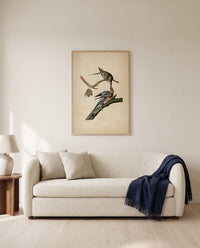 Passenger Pigeon by John James Audubon framed in natural oak above a cream sofa in a warm living room