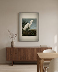 Snowy Heron by John James Audubon in a black frame above a walnut sideboard in a dining room