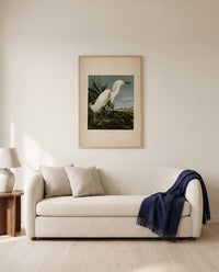 Snowy Heron by John James Audubon framed in natural oak above a cream sofa in a warm living room