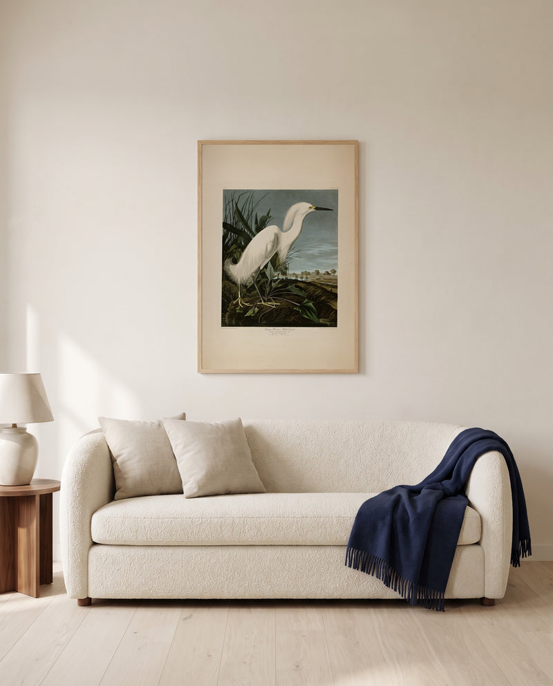 Snowy Heron by John James Audubon framed in natural oak above a cream sofa in a warm living room