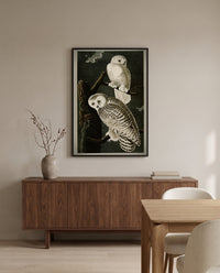 Snowy Owl by John James Audubon in a black frame above a walnut sideboard in a dining room