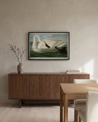 Trumpeter Swan by John James Audubon in a black frame above a walnut sideboard in a dining room