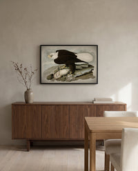 White-headed Eagle by John James Audubon in a black frame above a walnut sideboard in a dining room