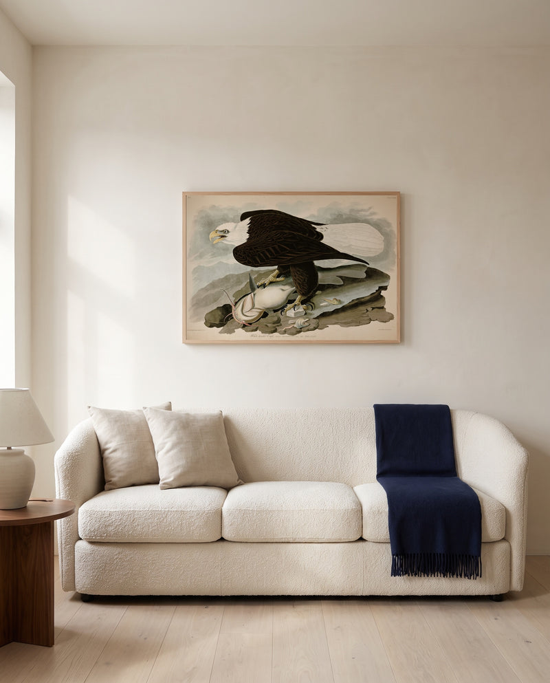 White-headed Eagle by John James Audubon framed in natural oak above a cream sofa in a warm living room