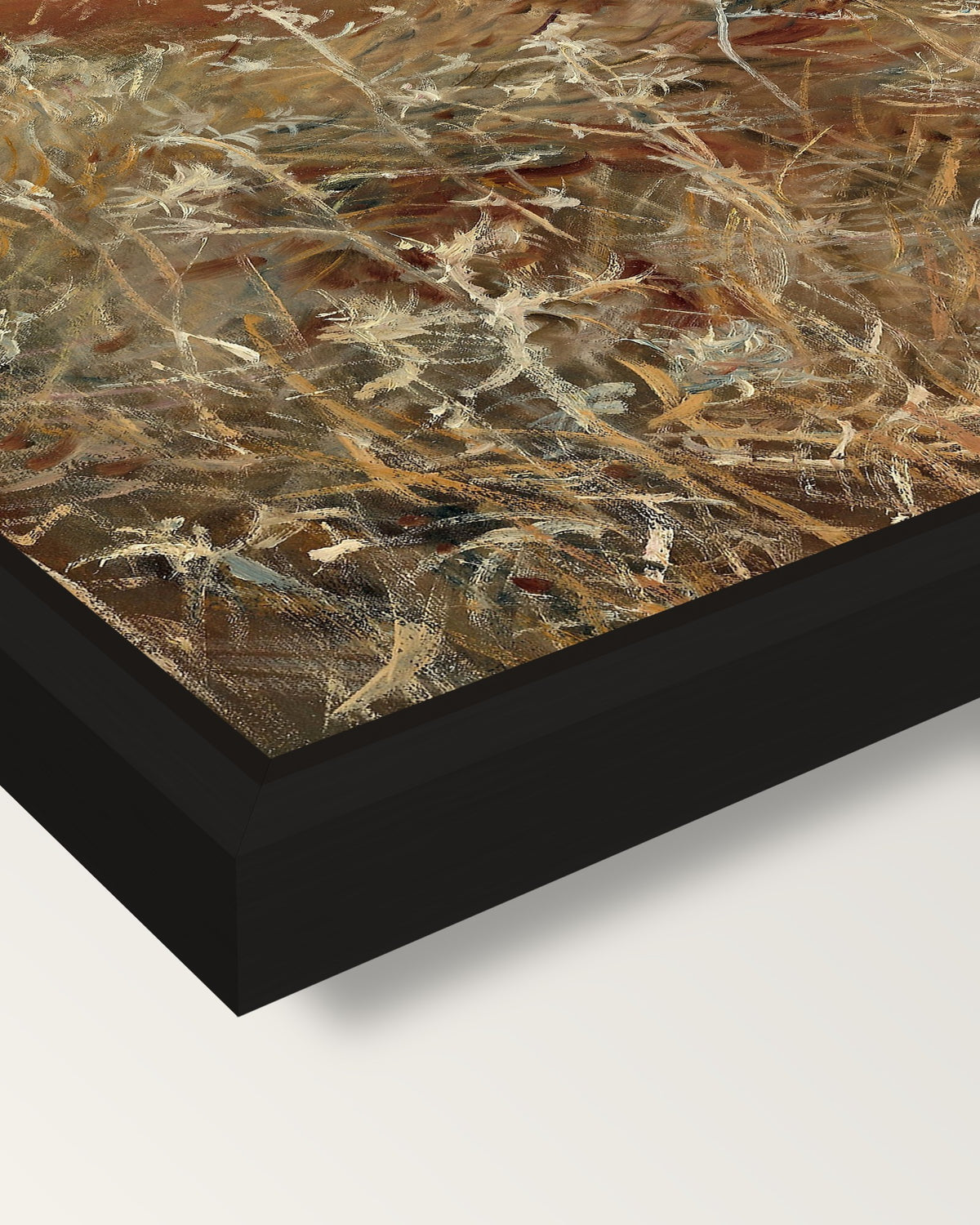 Thistles by John Singer Sargent framed canvas, corner close-up: a black floating frame with a shadow gap round the canvas