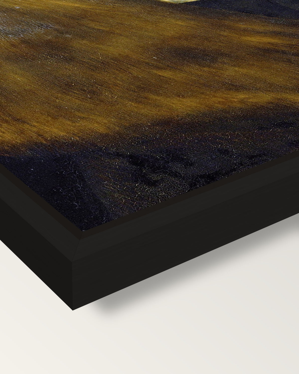 Margrave Casimir by the Elder framed canvas, corner close-up: a black floating frame with a shadow gap round the canvas