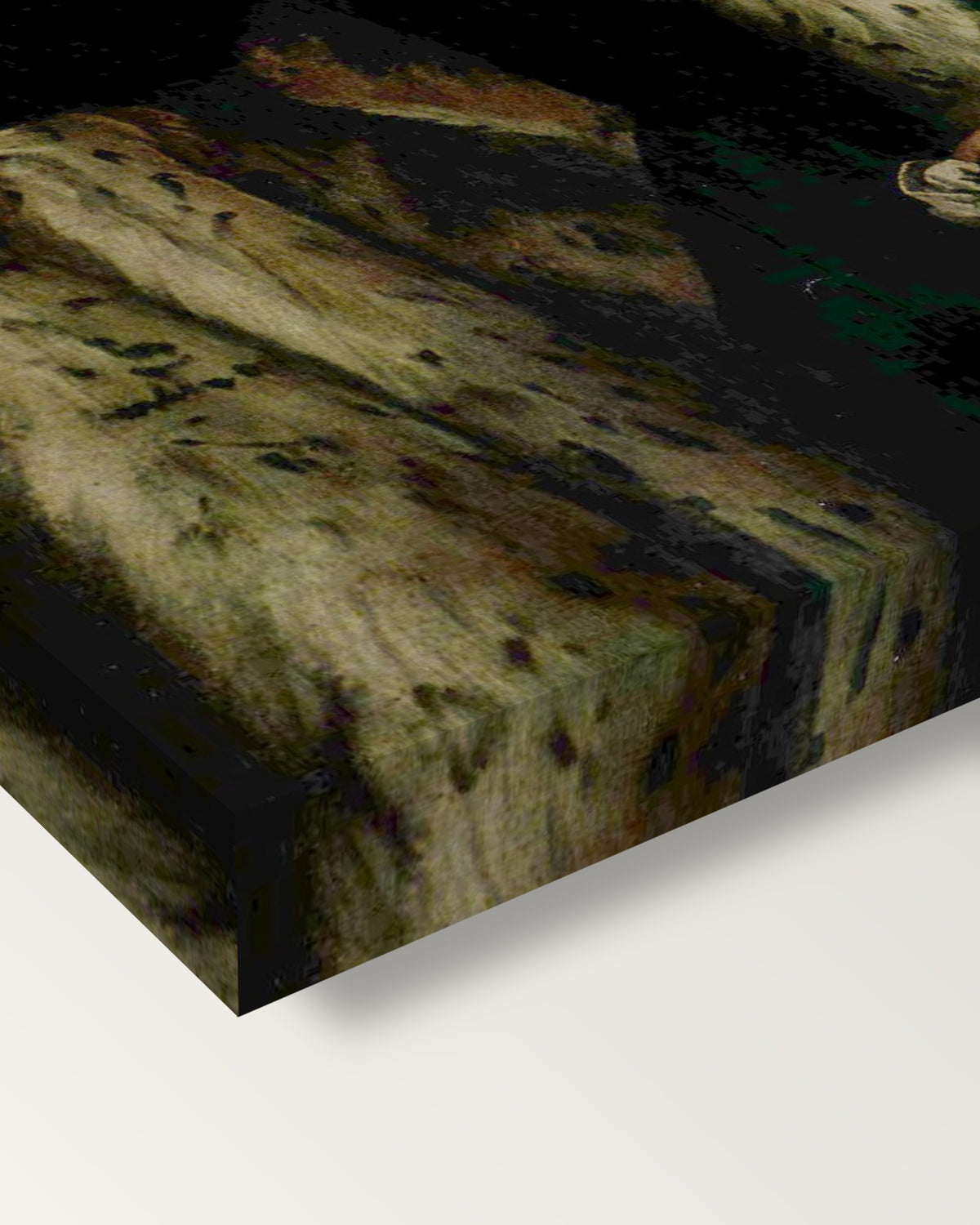 Gentleman in a Fur by Paolo Veronese on stretched canvas, corner close-up: the painting mirror-wrapped round the sides