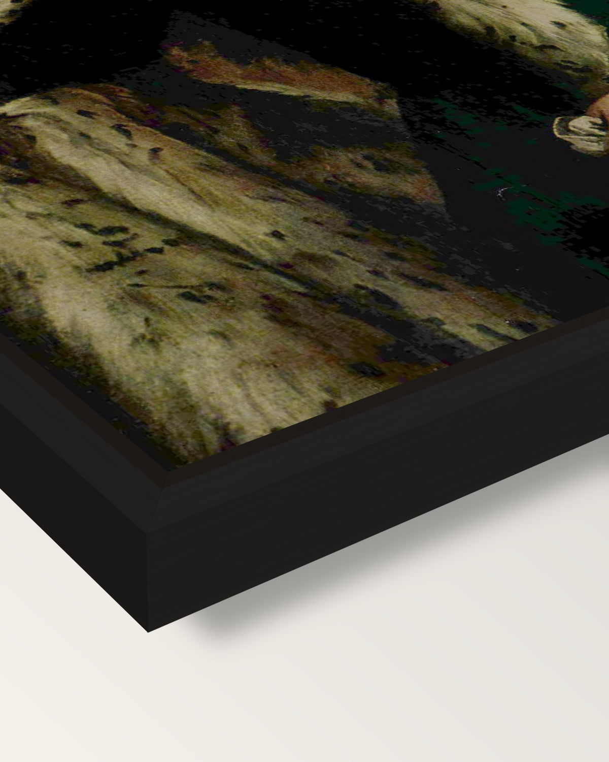 Gentleman in a Fur by Veronese framed canvas, corner close-up: a black floating frame with a shadow gap round the canvas