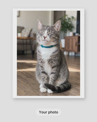 How a custom cartoon cat portrait is made: your photo, the proof within 24 hours, then framed on your wall
