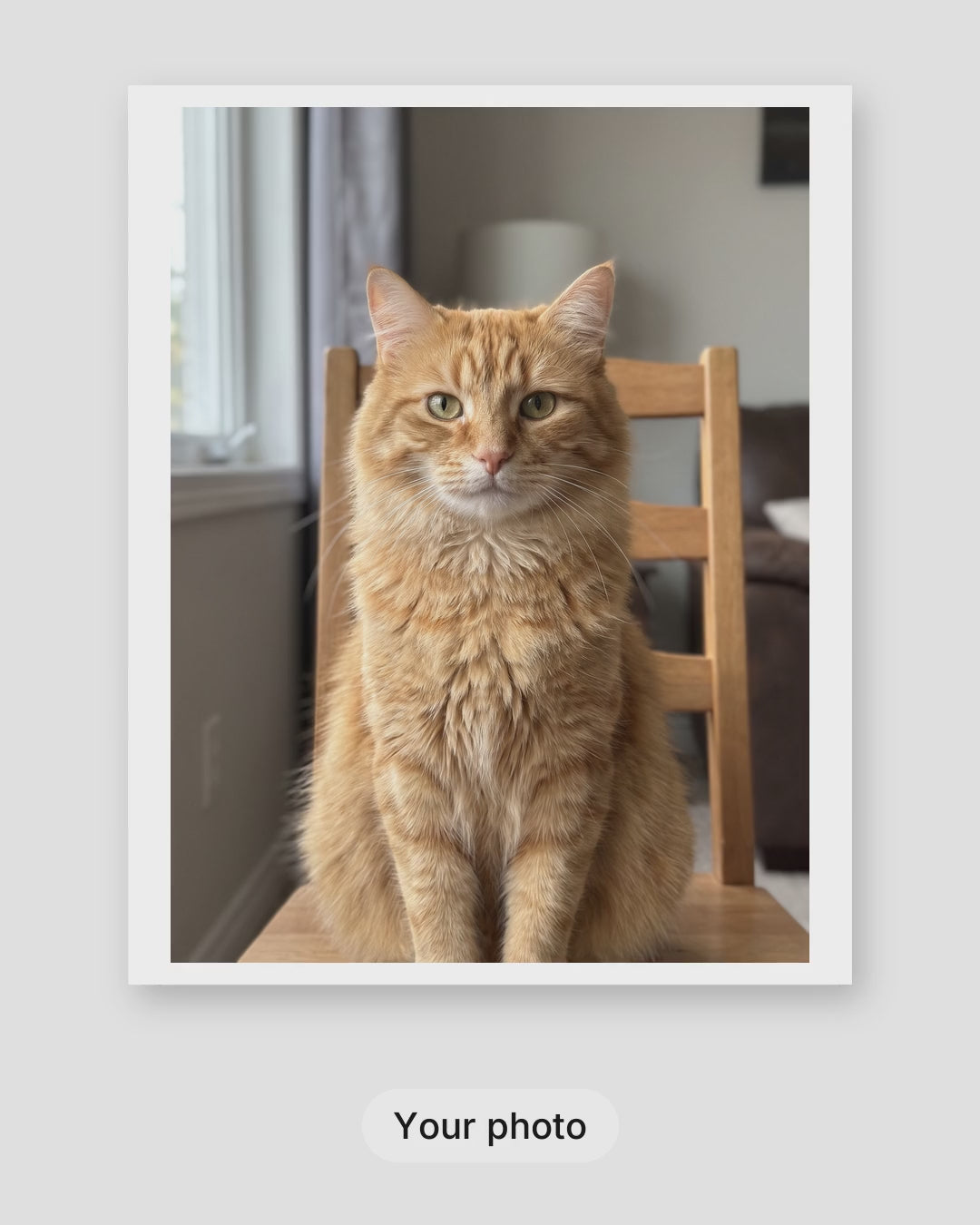 How a custom royal cat portrait is made: your photo, the proof within 24 hours, then framed on your wall