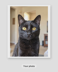 How a custom realistic cat portrait is made: your photo, the proof within 24 hours, then framed on your wall