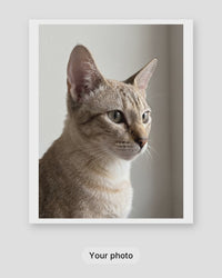 How a custom line art cat portrait is made: your photo, the proof within 24 hours, then framed on your wall