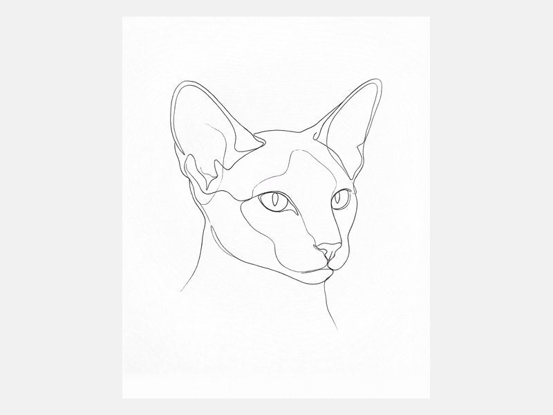 The proof: a Line Art Cat Portrait made from that photo