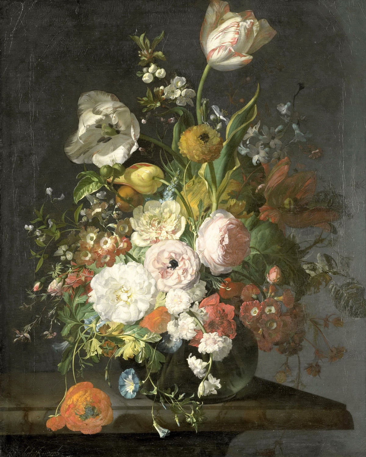 Still Life with Flowers in a Glass Vase by Rachel Ruysch: tulips, roses and poppies in a glass vase on a marble ledge