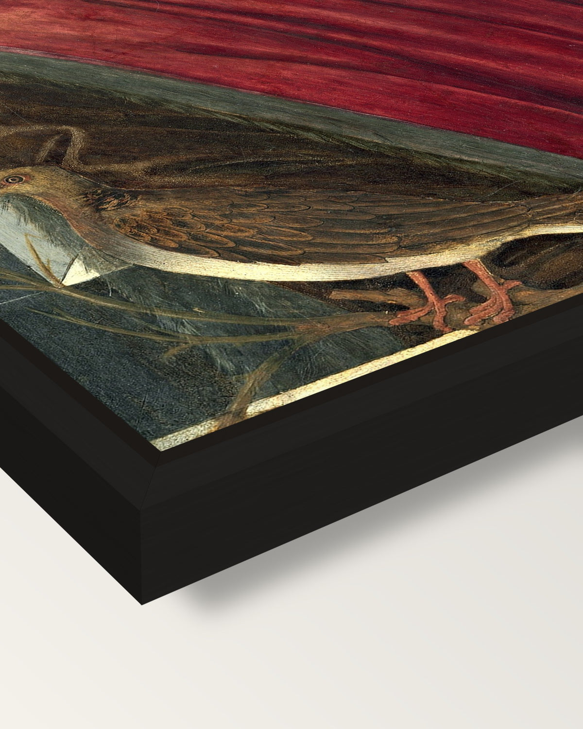 Giuliano de’ Medici by Botticelli framed canvas, corner close-up: a black floating frame with a shadow gap round the canvas