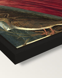 Giuliano de’ Medici by Botticelli framed canvas, corner close-up: a black floating frame with a shadow gap round the canvas