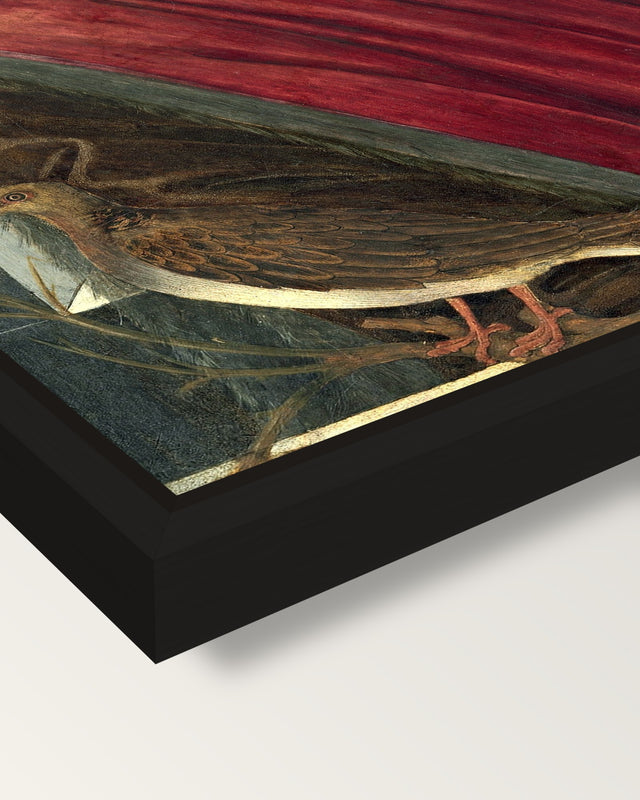 Giuliano de’ Medici by Botticelli framed canvas, corner close-up: a black floating frame with a shadow gap round the canvas