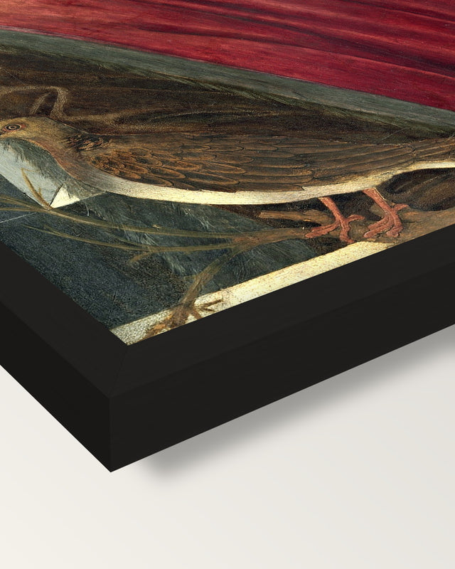 Giuliano de’ Medici by Botticelli framed print, corner close-up: black moulding, mitred, the print set just below its edge