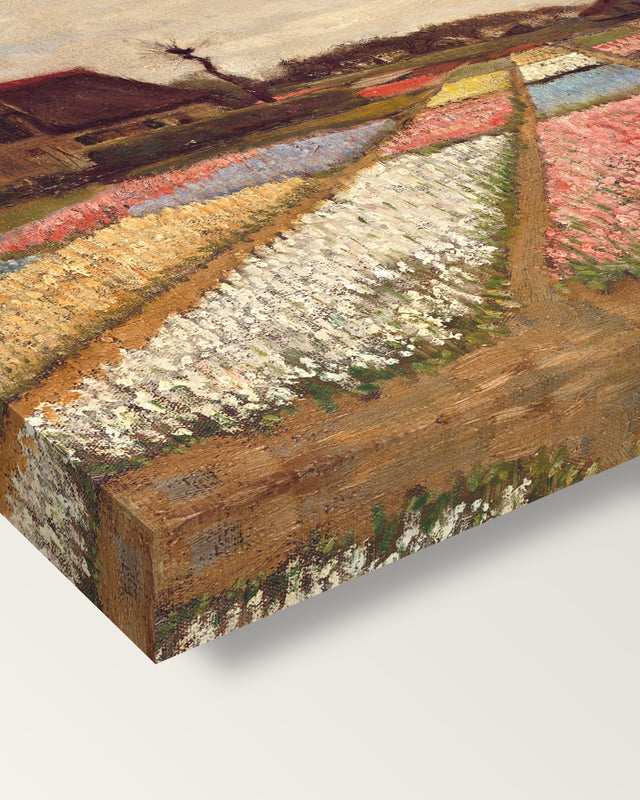 Bulb Fields by Vincent van Gogh on stretched canvas, corner close-up: the painting mirror-wrapped round the sides