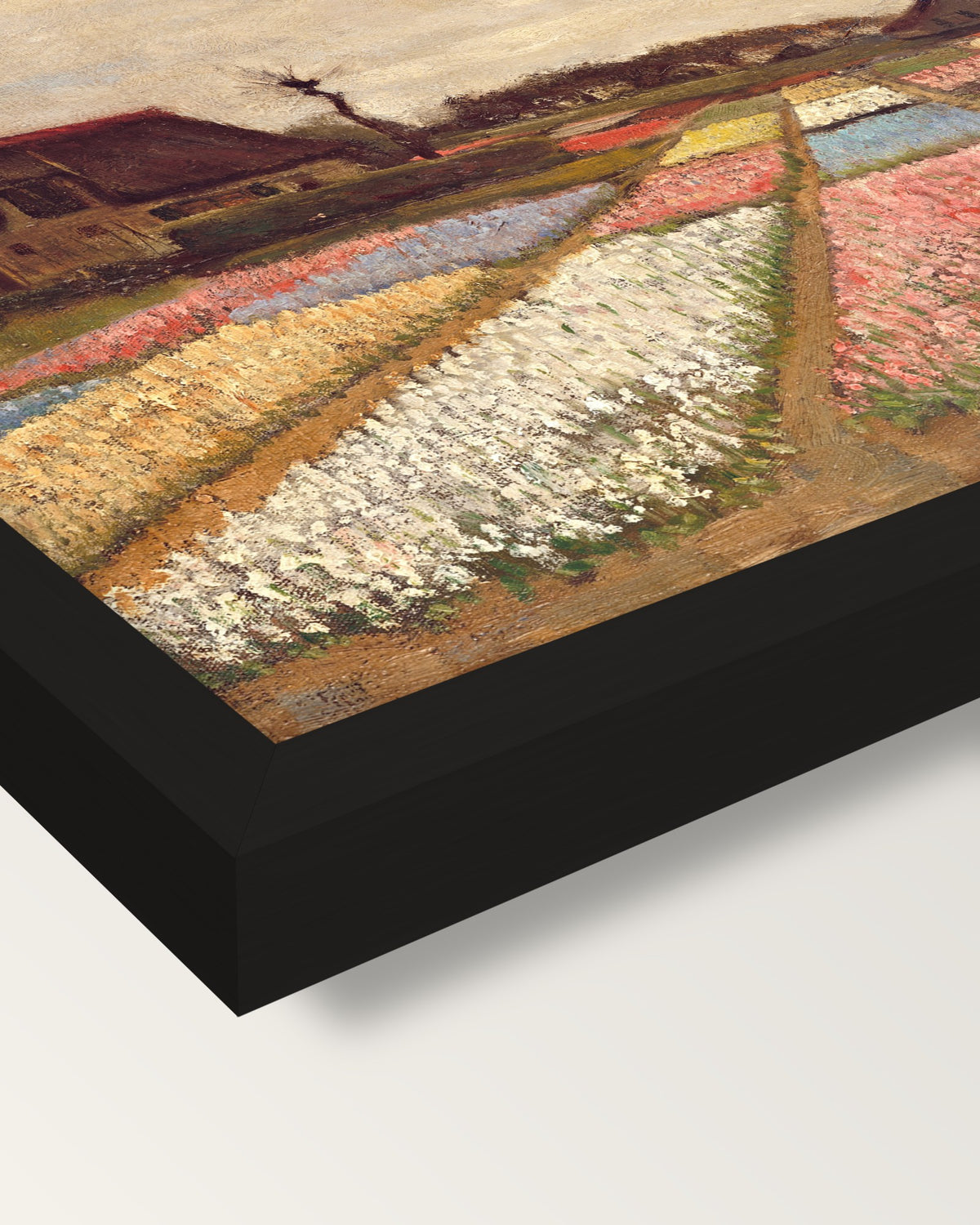 Bulb Fields by Vincent van Gogh framed print, corner close-up: black moulding, mitred, the print set just below its edge