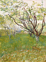 The Flowering Orchard by Vincent van Gogh: fruit trees in white blossom over long green grass, a fence behind