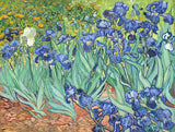 Irises by Vincent van Gogh: a crowd of blue-violet irises with green leaves over red-orange earth, one white iris on the left