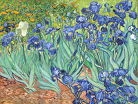Irises by Vincent van Gogh: a crowd of blue-violet irises with green leaves over red-orange earth, one white iris on the left