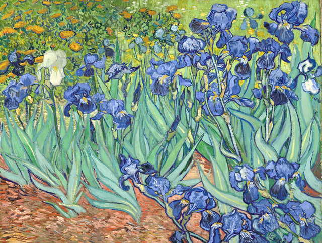 Irises by Vincent van Gogh: a crowd of blue-violet irises with green leaves over red-orange earth, one white iris on the left