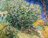 Lilac Bush by Vincent van Gogh: a big green bush flowering with lilac in a garden, a path and long grass in front