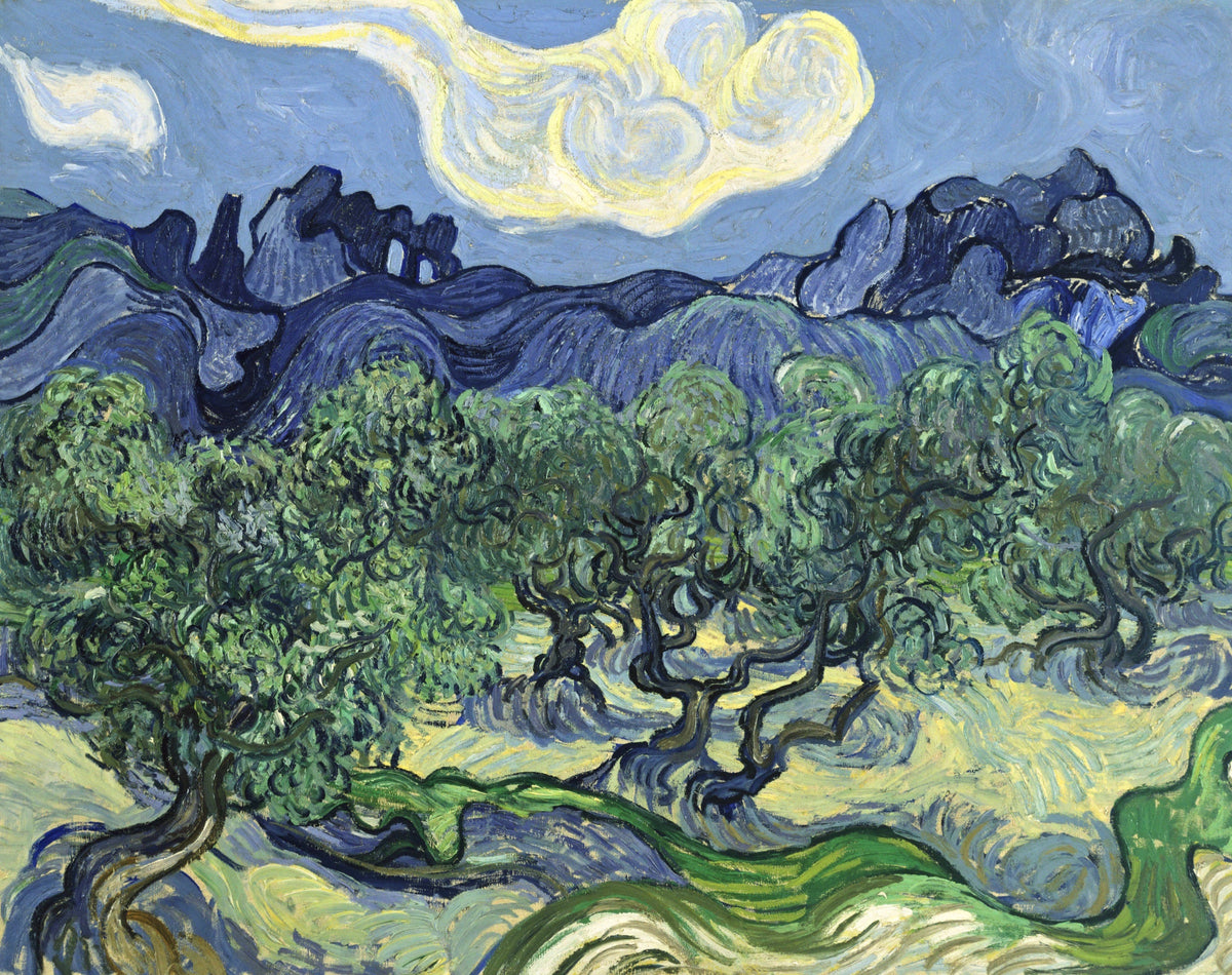 The Olive Trees by Vincent van Gogh: twisting olive trees before blue mountains under a big white cloud