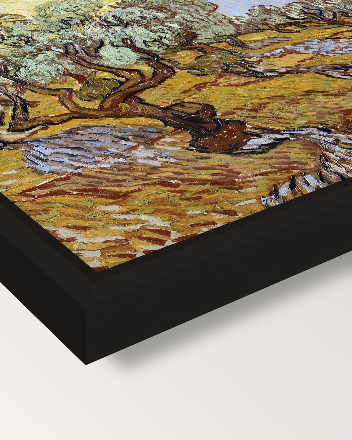 Olive Trees with Yellow Sky framed canvas, corner close-up: a black floating frame with a shadow gap round the canvas
