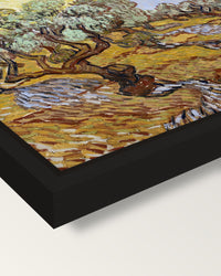Olive Trees with Yellow Sky framed canvas, corner close-up: a black floating frame with a shadow gap round the canvas