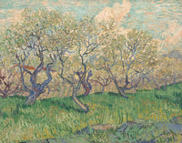 Orchard in Blossom by Vincent van Gogh, 1889: twisted trees in pale blossom over bright green grass, cloudy sky