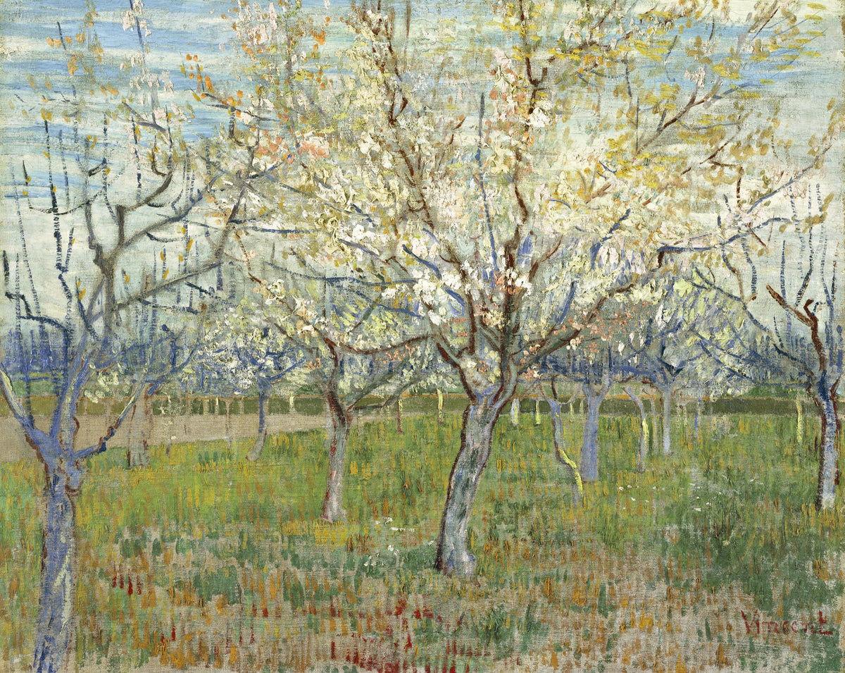 The Pink Orchard by Vincent van Gogh: rows of fruit trees in pink and white blossom over green grass, a blue sky behind