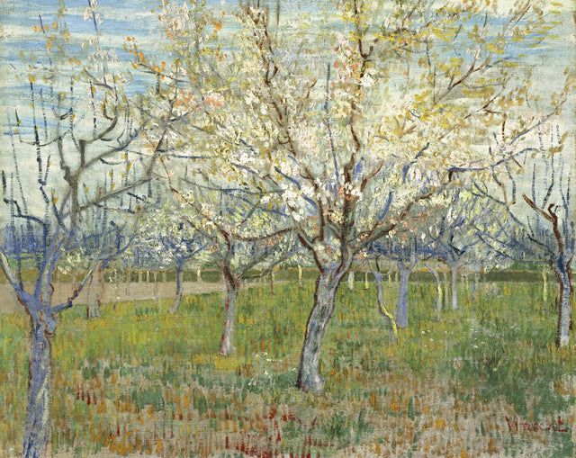The Pink Orchard by Vincent van Gogh: rows of fruit trees in pink and white blossom over green grass, a blue sky behind