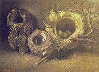 Still Life with Three Birds’ Nests by Vincent van Gogh: three nests of twigs and moss on a dark ground, one with eggs