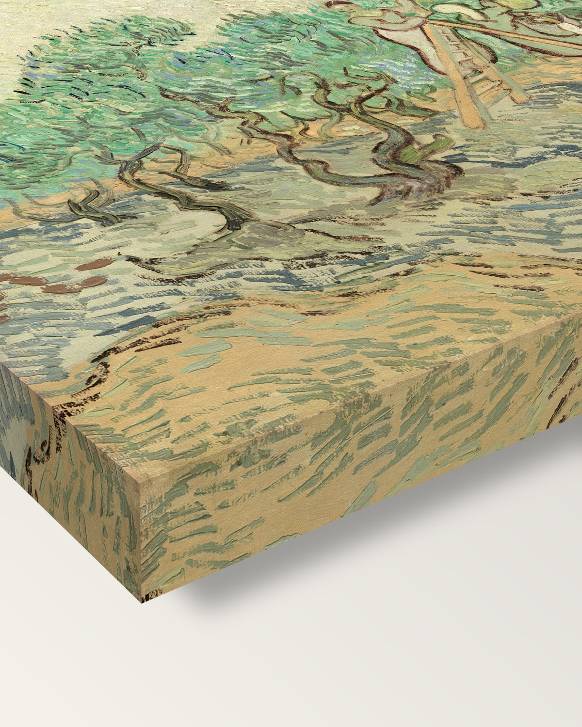 Women Picking Olives by Vincent van Gogh on stretched canvas, corner close-up: the painting mirror-wrapped round the sides