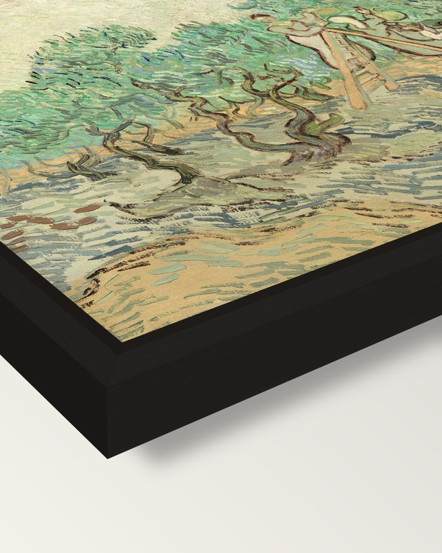 Women Picking Olives by van Gogh framed canvas, corner close-up: a black floating frame with a shadow gap round the canvas