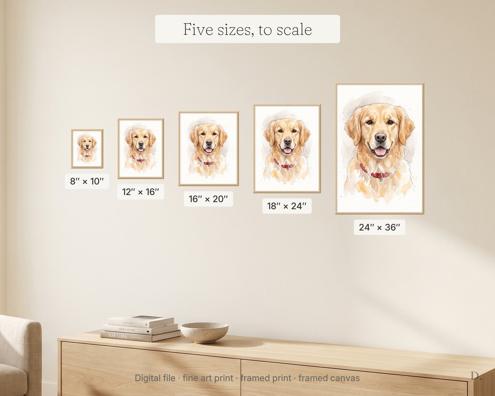 All five sizes shown to scale on one wall, from the smallest at left to the largest at right, each labelled with its measurements.
